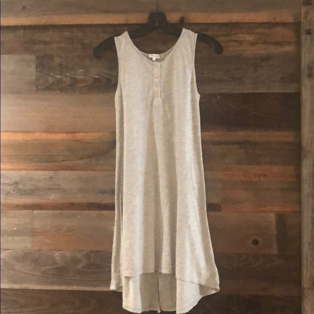 Grey Splendid Dress